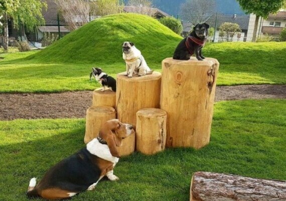 Area cani Comune di Roma - Lazio   - Holzhof